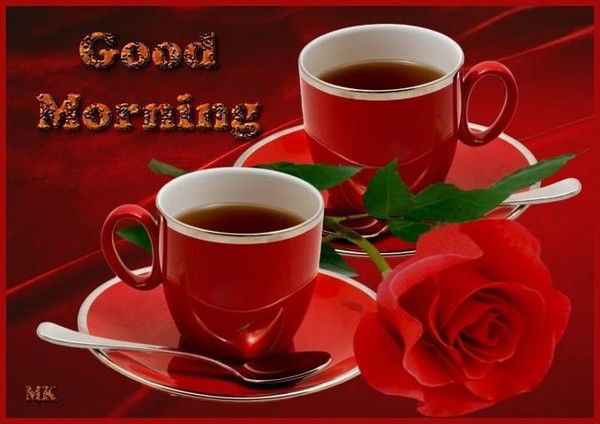 Ириша Гаврилова