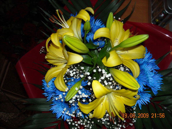 Наталья Хохлова