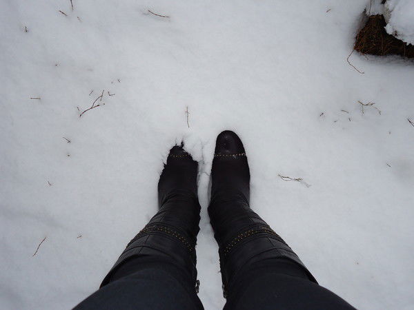 Анастасия Тодинова