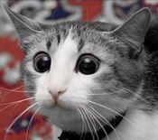 Нюра Мартышкина