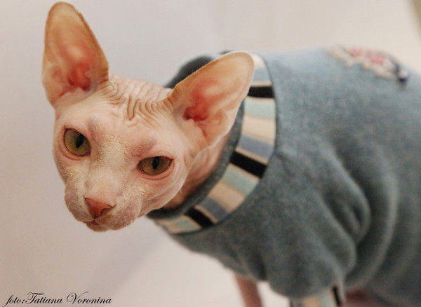 Маргарита Троицкая