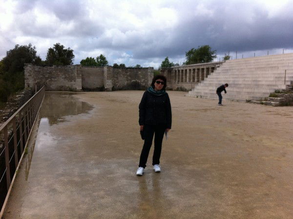 Елена Дамян