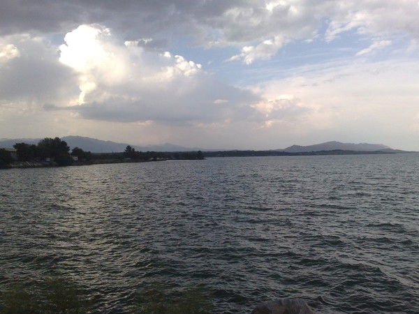 Александра Выприцкая