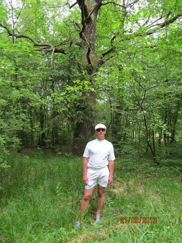 Андрей Билоус