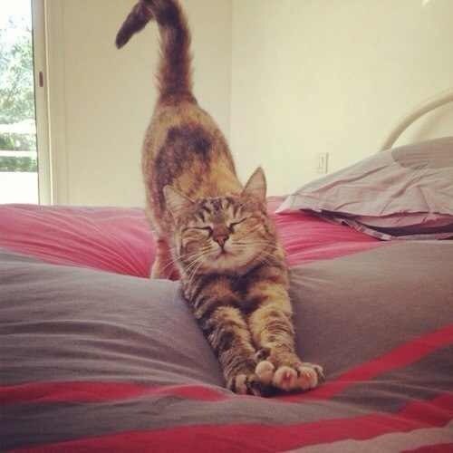 Елена Маратканова