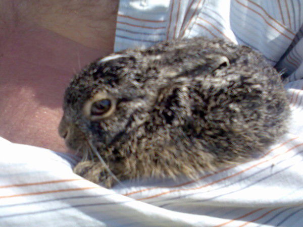 Сергей Гайчиш