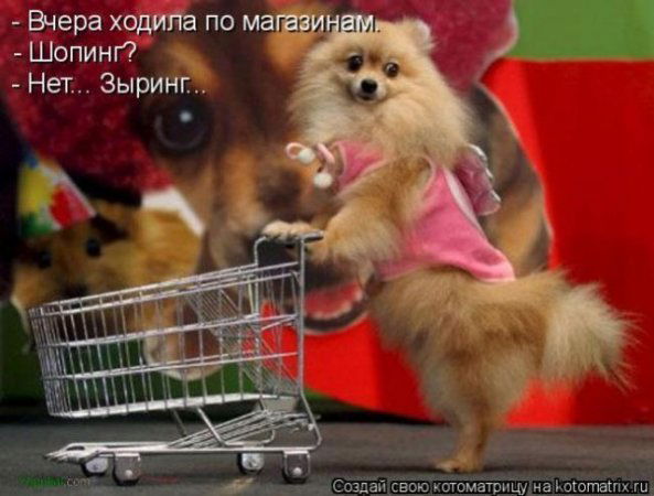 Елена .........