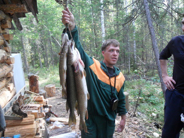 Гена Ползунов