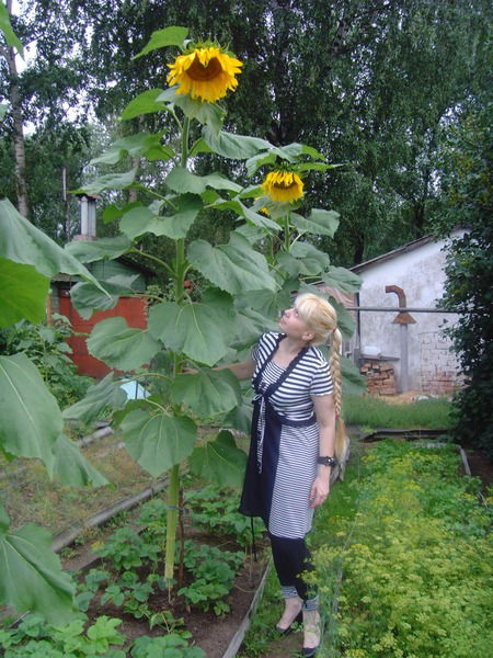 Светлана Смирнова