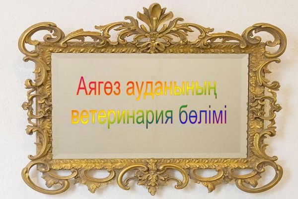 Отдел Ветеринарии Аягозского Района Г. Аягоз
