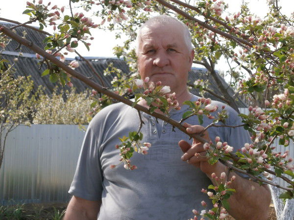 Павел Сафронов