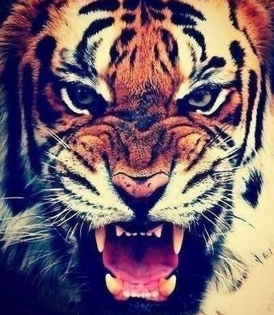 Полина Окулова