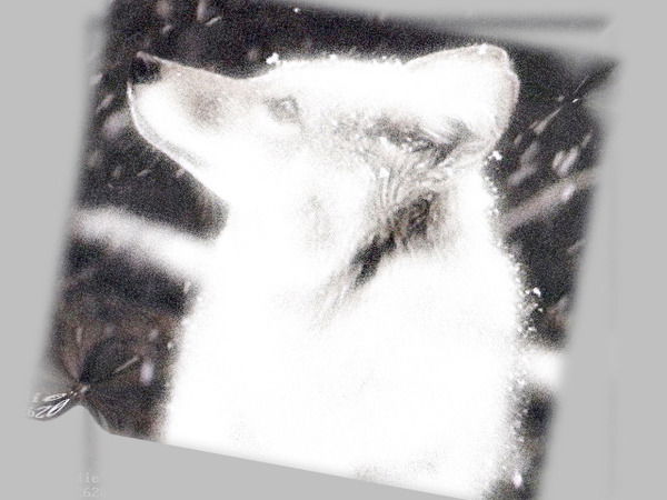 Надежда Захарук