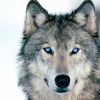 Марина Габидуллина