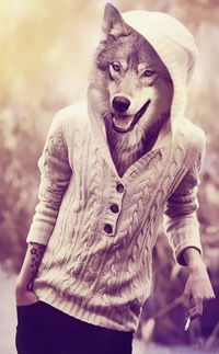 Александр Молдованенко