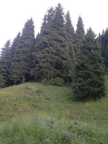 Анжелика Лозюк