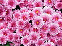 Неизвестно Неизвестно