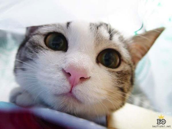 Просто M@рин@