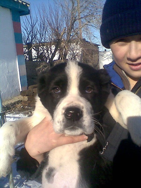 Серик Ажигулов