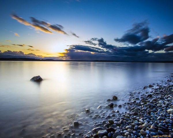 Дмитрий Ципровский