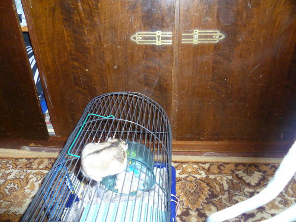 Владимир Похвалиев