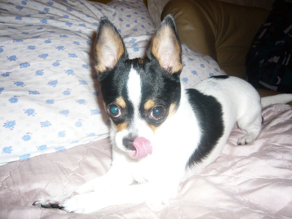 Надежда Туманова