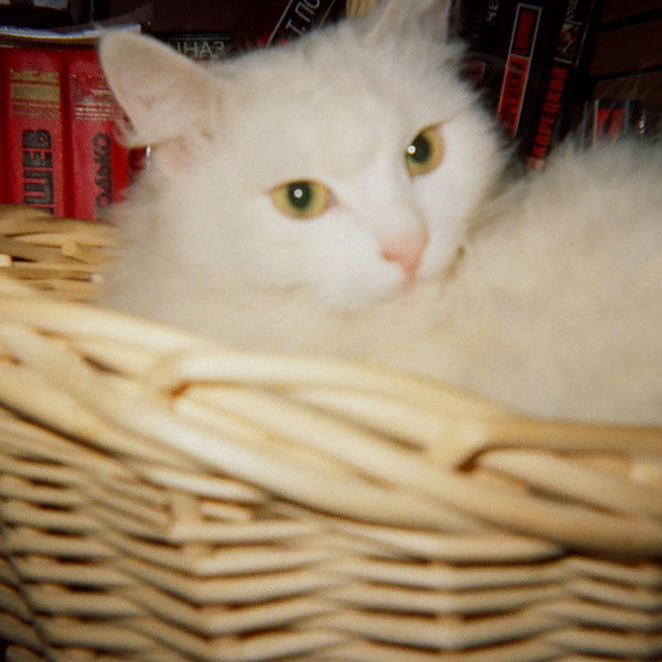 Марина Кузина