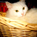 Марина Кузина