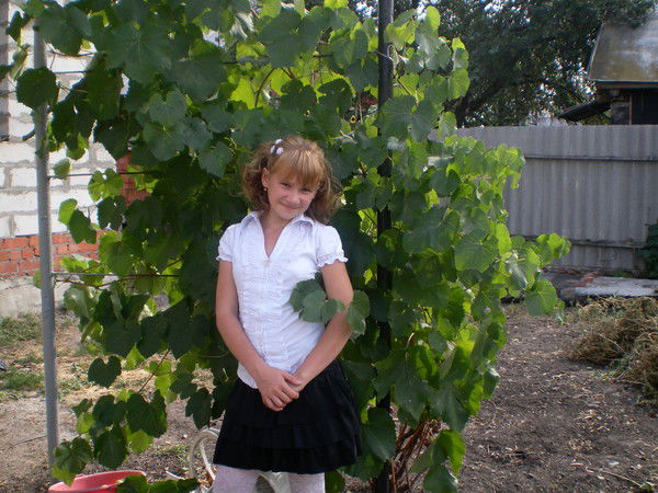 Светлана Шабанова