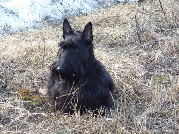 Алла Зорова