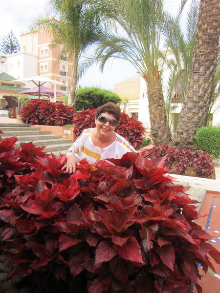 Татьяна Заика