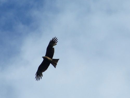 Александр Блохин