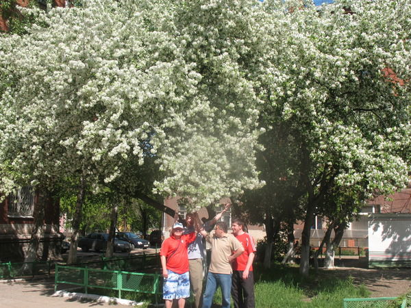 Николай Ляху