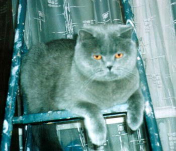 Сергей Пылаев