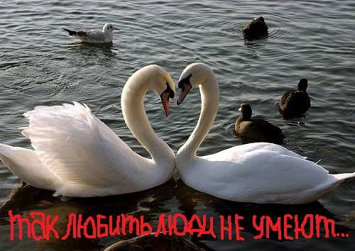 Гульнара Каримова