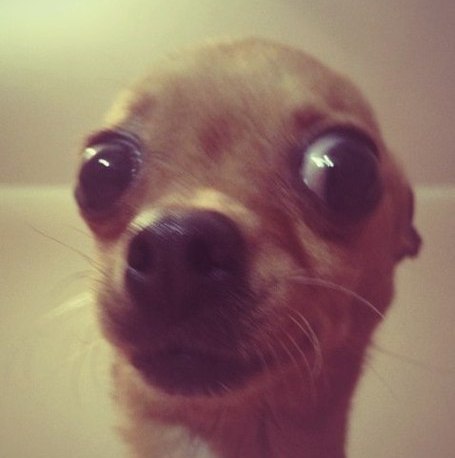 Любовь Токсарова