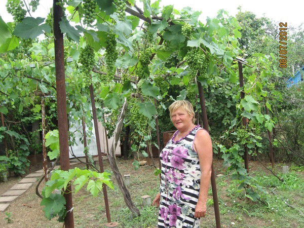 Валентина Меншутина(Гапанович)