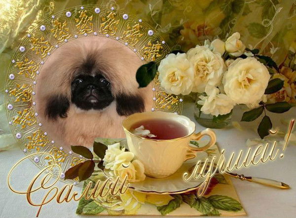 Виктория Кодакова