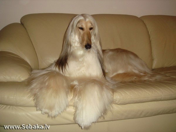 Юлия Нехорошева