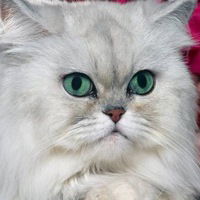 Любовь Воронова