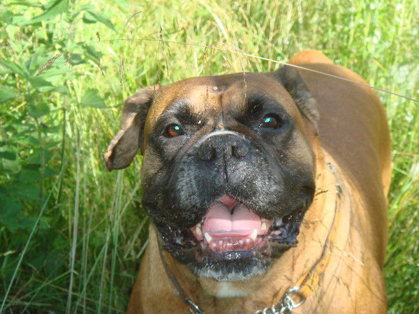 Олег Кияшко