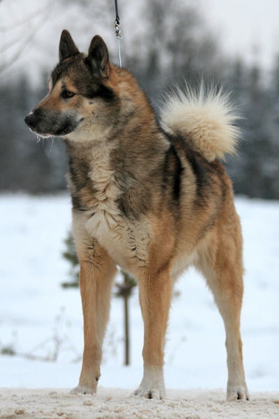 Ольга Александрова