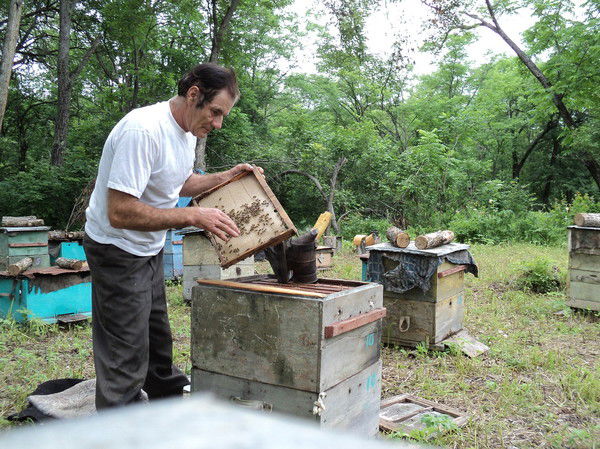 Сергей Вяткин