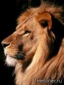 Алексей Колдовский