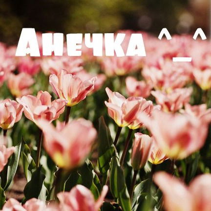 Анна Корнилова