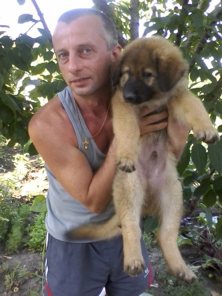 Борис Борисов