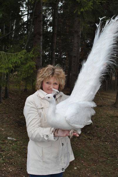 Альбина Березовская