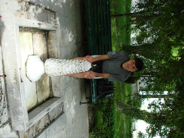 Виктор Воронин