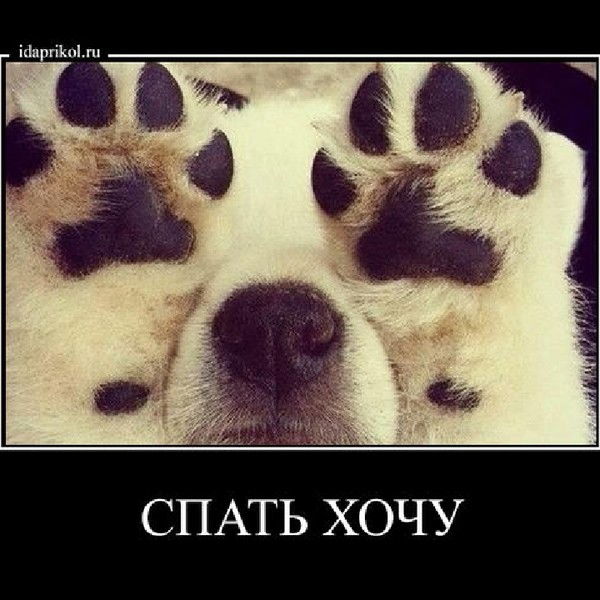 Ирина Кротова