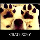 Ирина Кротова